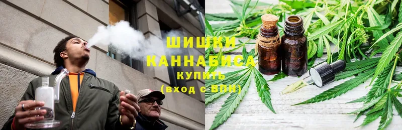 Бошки Шишки план  Краснозаводск 